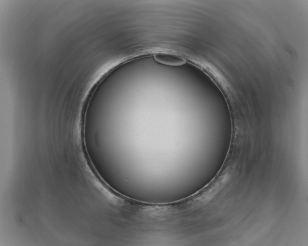 X0000110720902200906191503