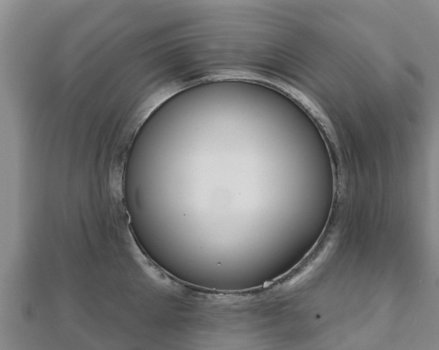 X0000110720905200906191503