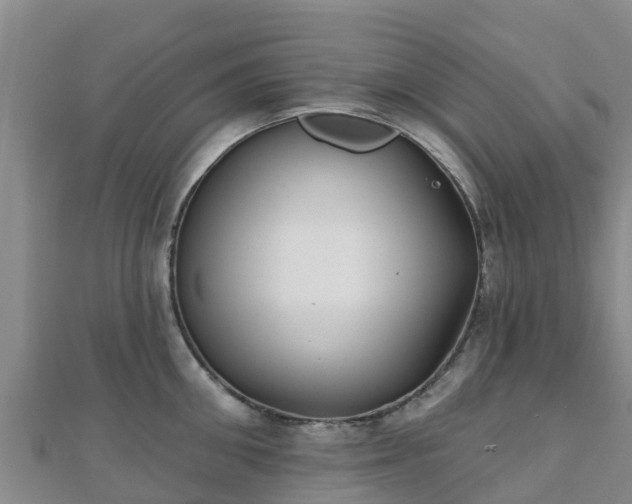 X0000110720906200906191503