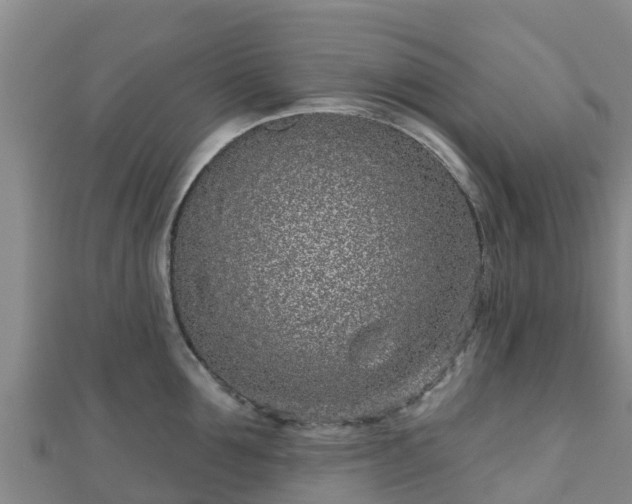 X0000110720907200906191503