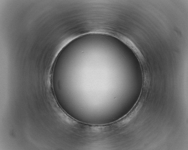 X0000110720908200906191503