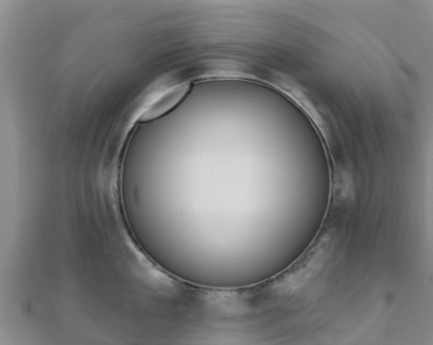 X0000110720909200906191503
