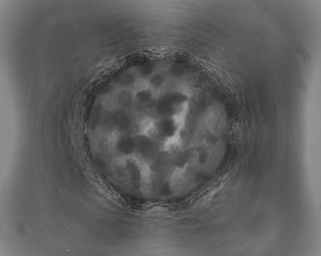 X0000110720913200906191502