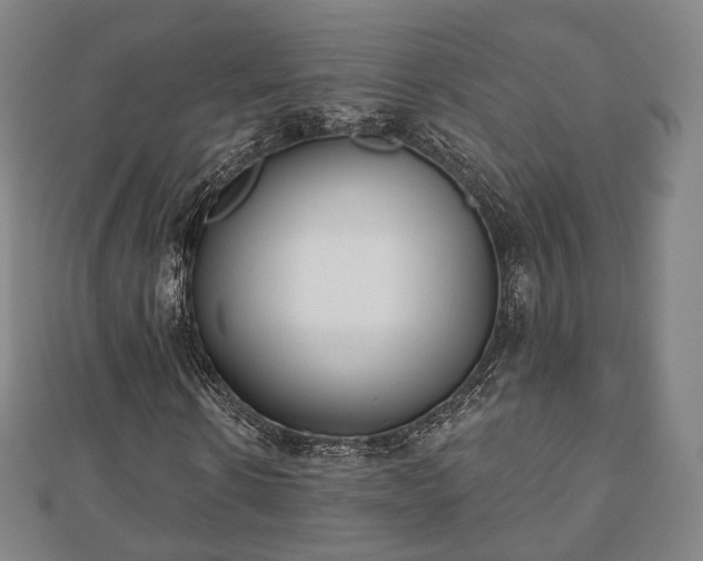X0000110720914200906191502