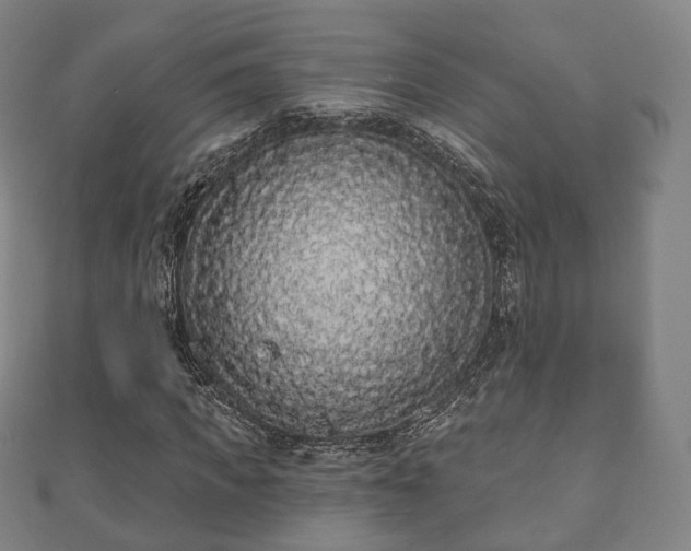 X0000110720917200906191502
