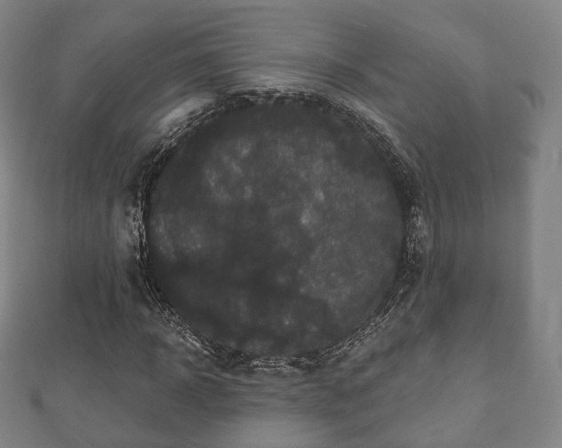 X0000110720918200906191502
