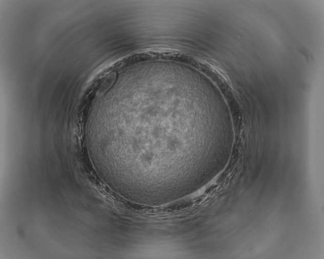 X0000110720920200906191502