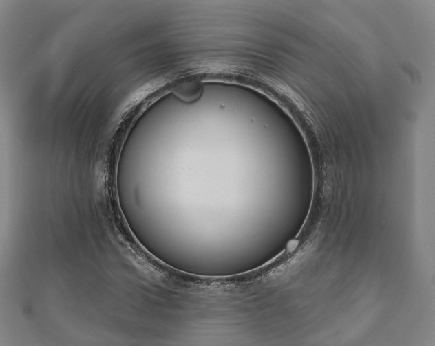 X0000110720922200906191502