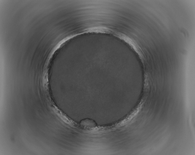 X0000110720923200906191502
