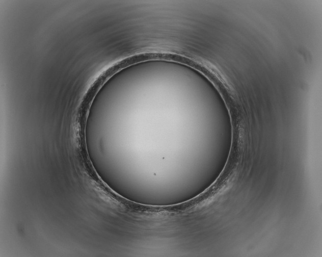 X0000110720926200906191503