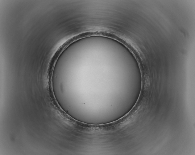 X0000110720927200906191503