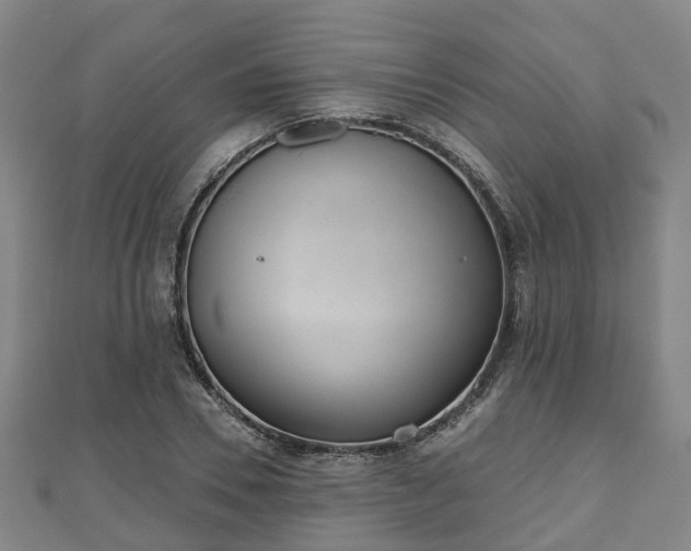 X0000110720930200906191503