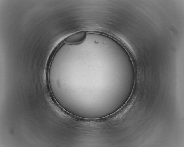 X0000110720932200906191503