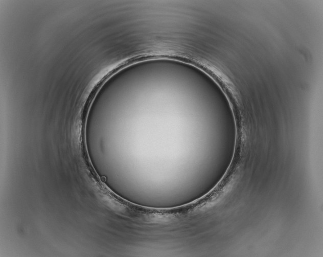 X0000110720933200906191503