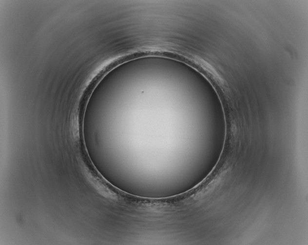 X0000110720934200906191503