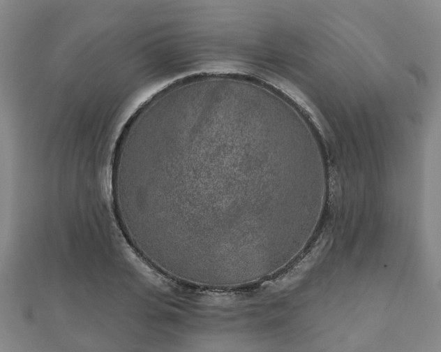 X0000110720935200906191503