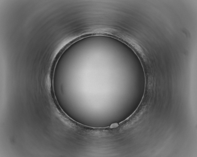 X0000110720936200906191503