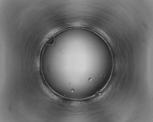 X0000110720938200906191503