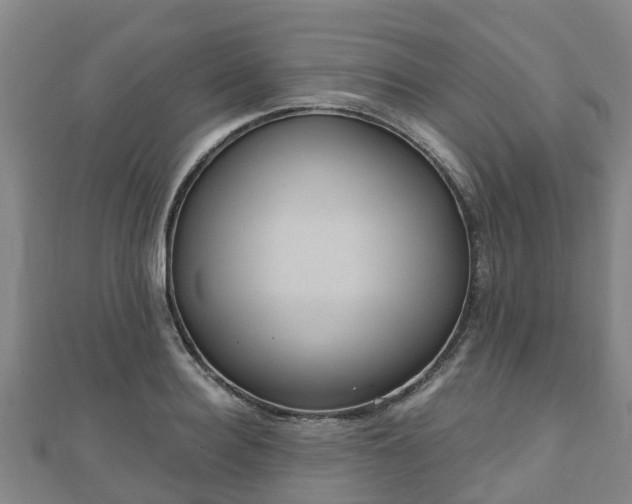 X0000110720940200906191503