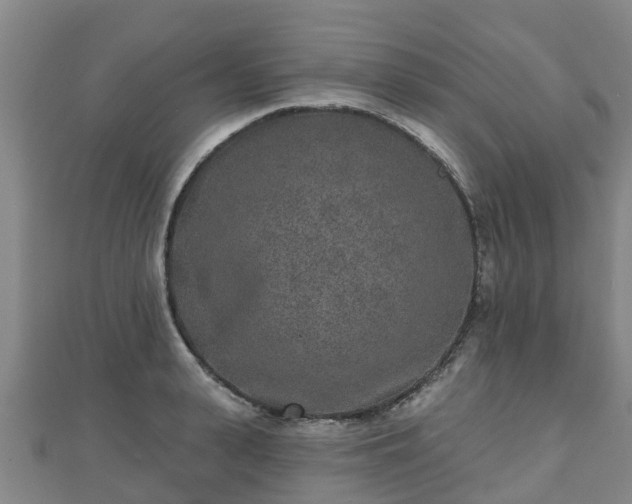 X0000110720943200906191503