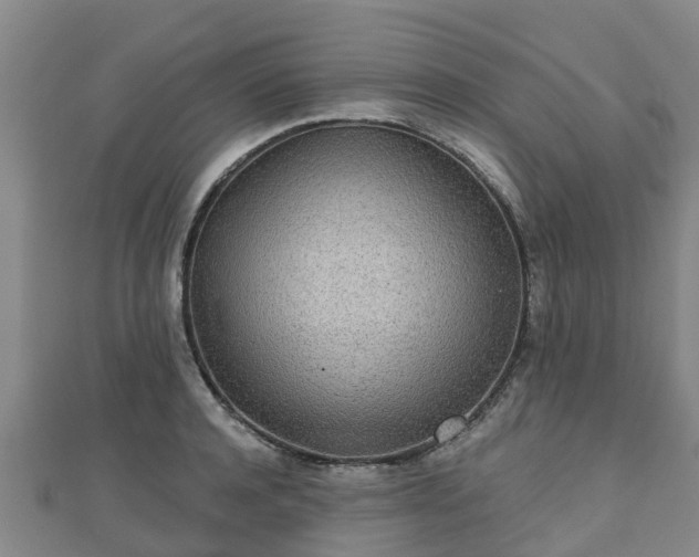 X0000110720944200906191503