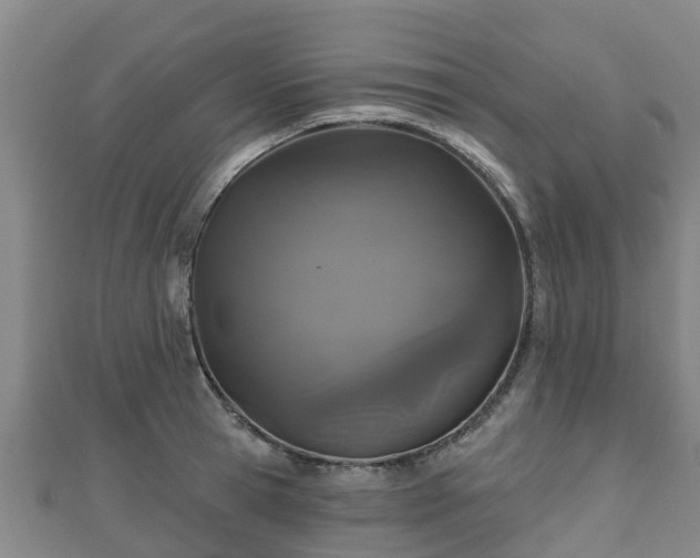 X0000110720945200906191503
