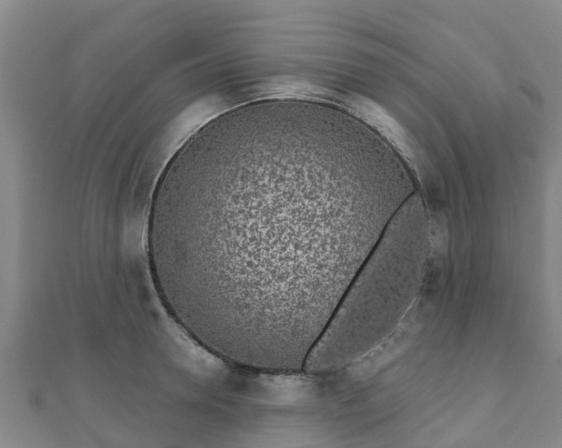 X0000110720946200906191503