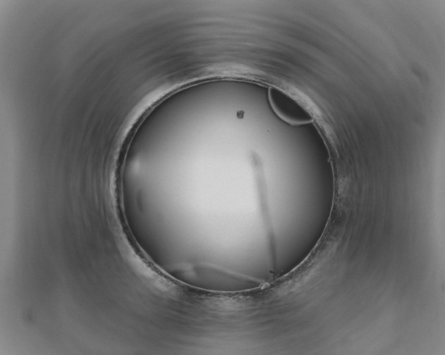 X0000110720947200906191503