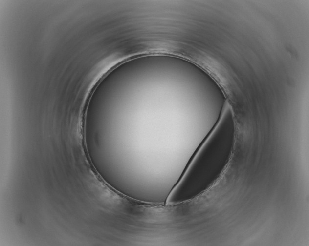 X0000110720948200906191503