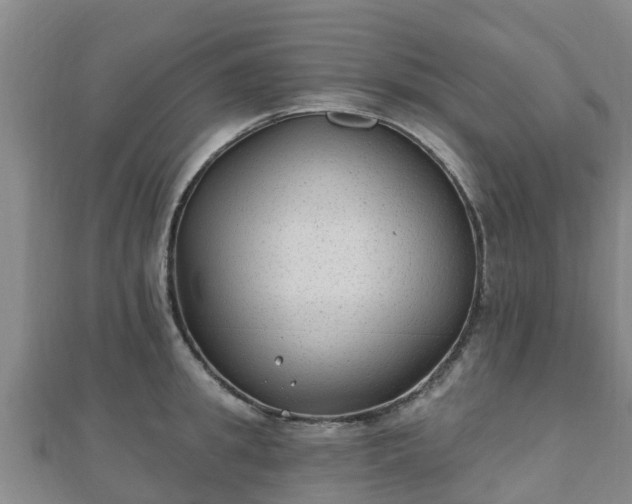 X0000110720949200906191503