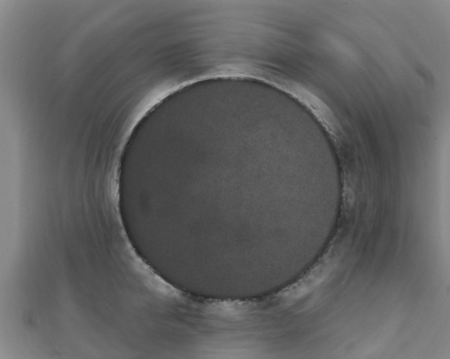 X0000110720950200906191503
