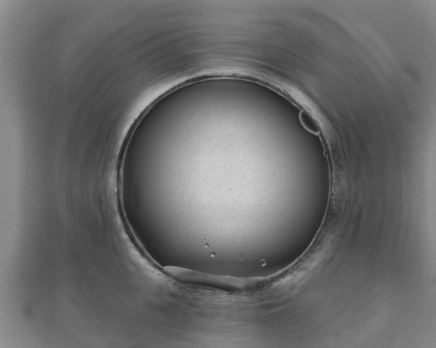 X0000110720951200906191503