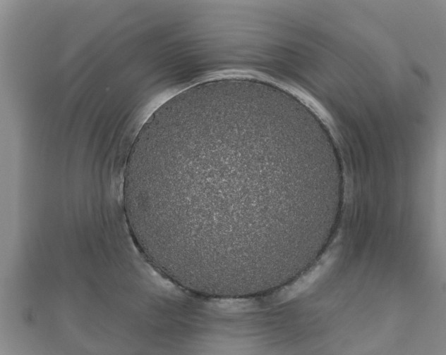 X0000110720953200906191503