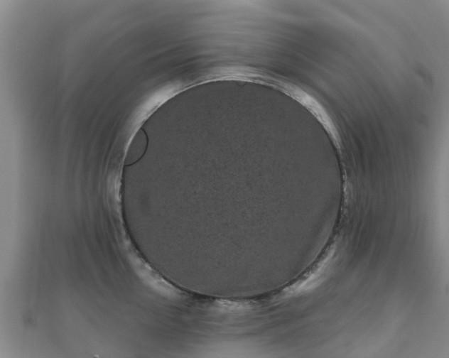 X0000110720954200906191503