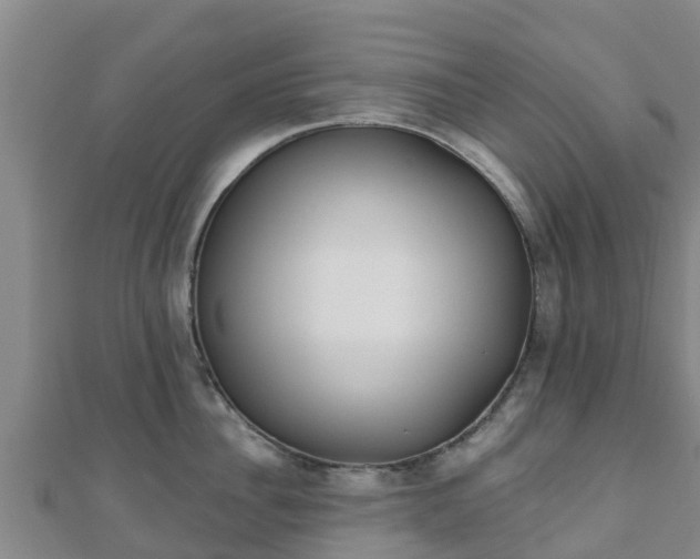 X0000110720956200906191503