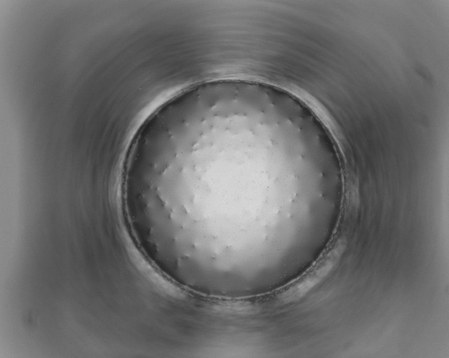 X0000110720957200906191503