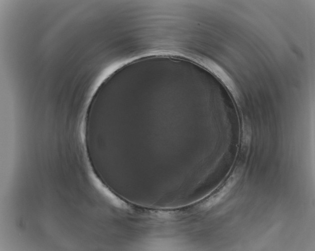 X0000110720958200906191503