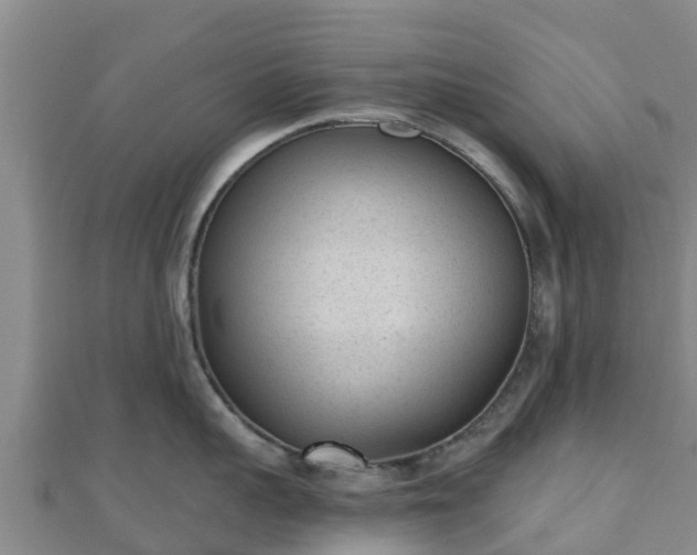 X0000110720959200906191503