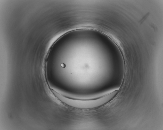 X0000110720960200906191503