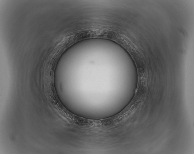 X0000110720961200906191502