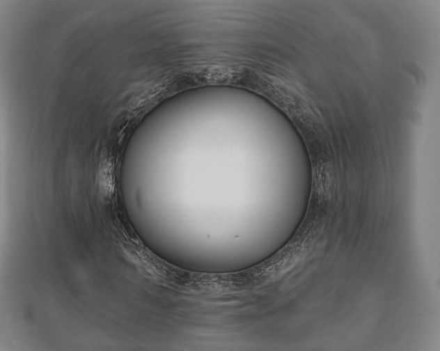 X0000110720962200906191502