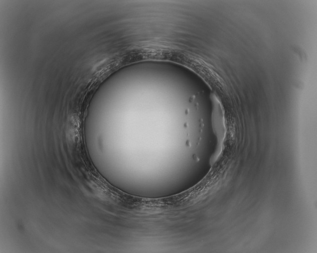 X0000110720964200906191502