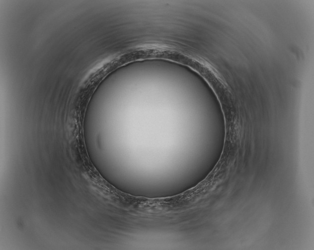 X0000110720967200906191502