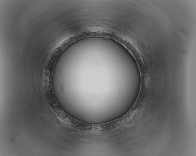X0000110720968200906191502