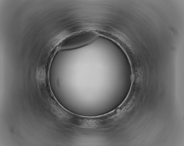 X0000110720969200906191502