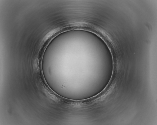 X0000110720970200906191502