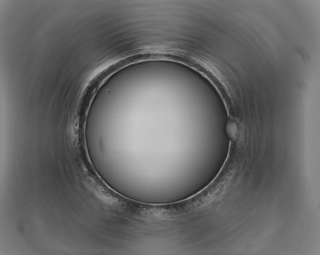 X0000110720971200906191502