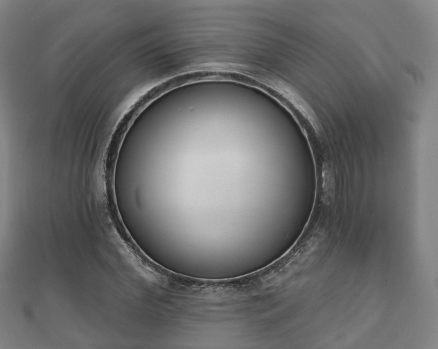 X0000110720972200906191502