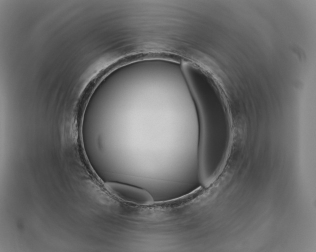 X0000110720973200906191502