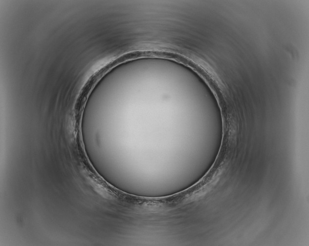 X0000110720974200906191502
